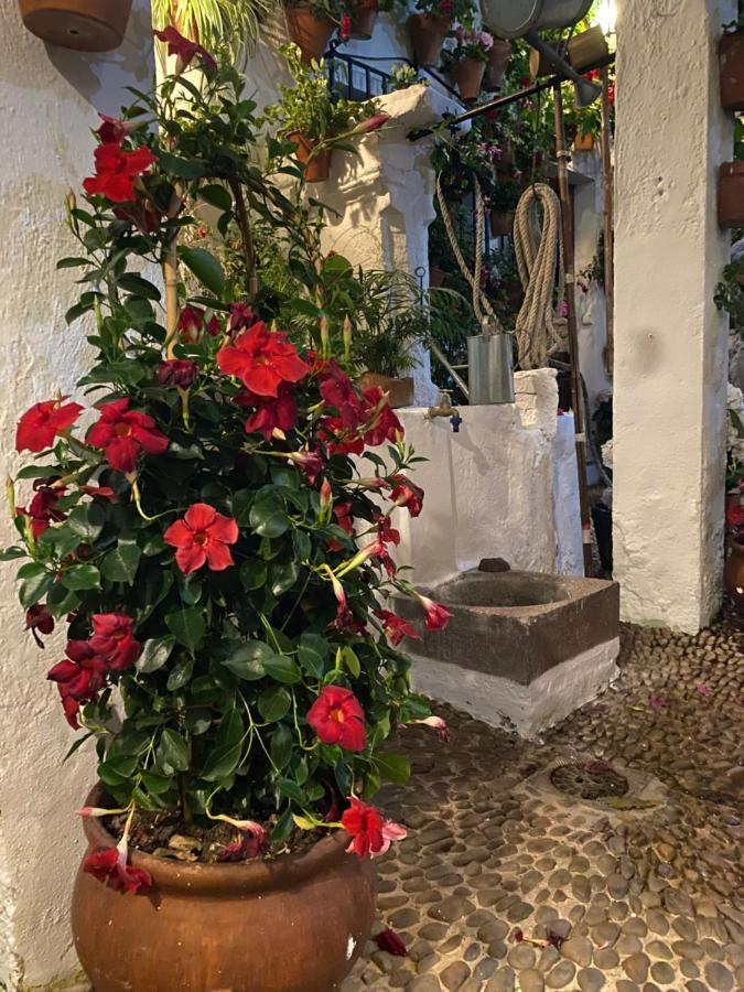 Appartamento Atico Casa Lola Cordova Esterno foto
