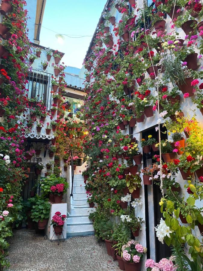 Appartamento Atico Casa Lola Cordova Esterno foto