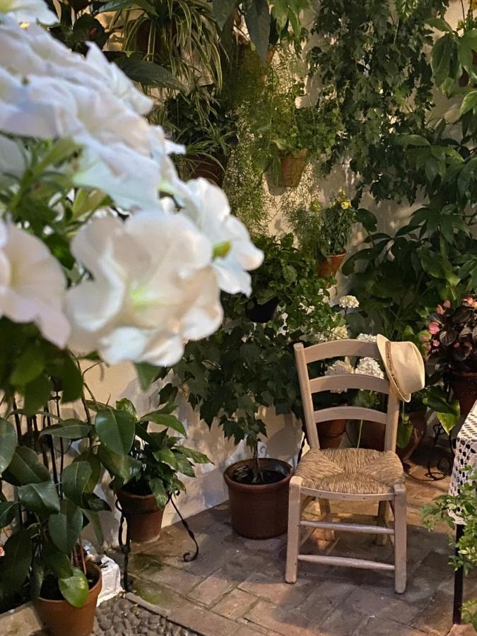 Appartamento Atico Casa Lola Cordova Esterno foto